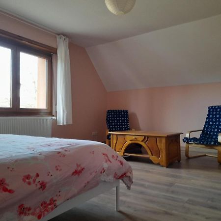 Appart 4 Pers Refait Neuf 90M2 Avec Balcon Baldenheim Dış mekan fotoğraf